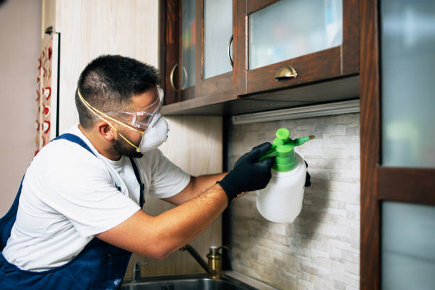Best Wildlife Control Services  in Flower Hill, MD
