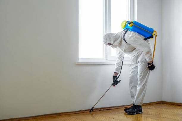 Best Pest Removal Services  in Flower Hill, MD