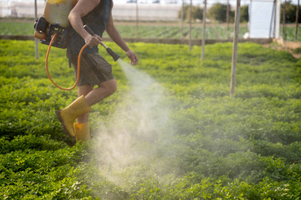 Best Pest Removal Services  in Flower Hill, MD
