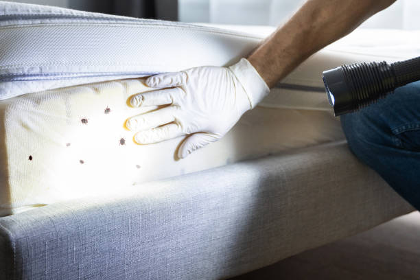 Best Pest Control Near Me  in Flower Hill, MD