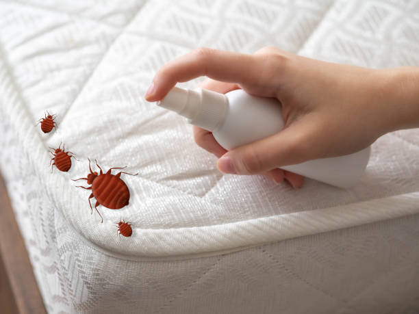 Best Pest Control Near Me  in Flower Hill, MD