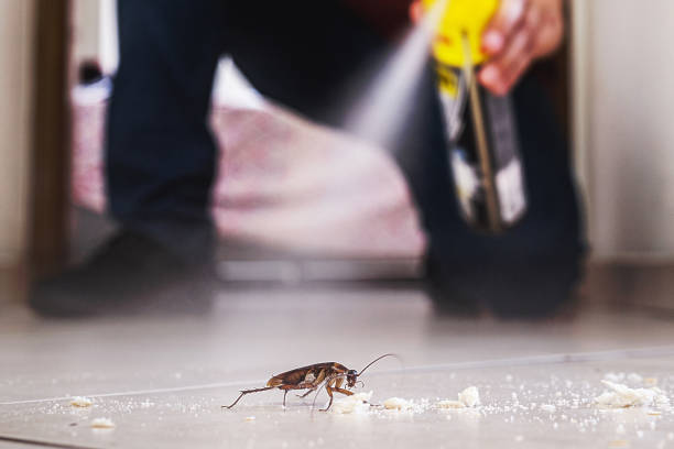 Best Pest Prevention Services  in Flower Hill, MD