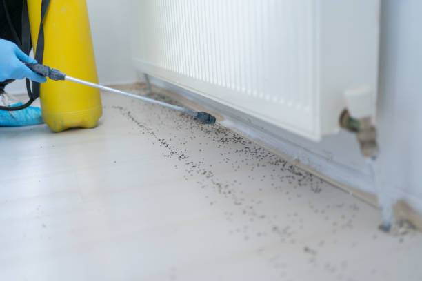 Best Mosquito Control Services  in Flower Hill, MD