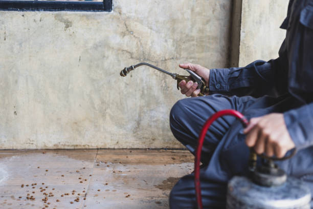 Professional Pest Control in Flower Hill, MD