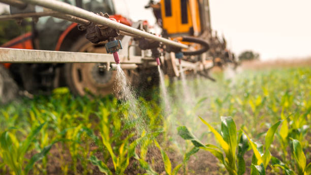 Best Commercial Pest Control Services  in Flower Hill, MD